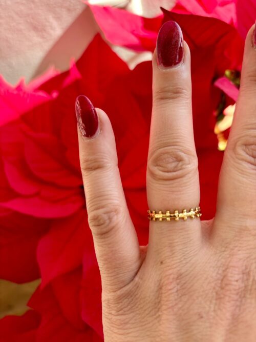 Anillo ESPIGUÉ